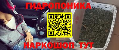 каннабис Будённовск